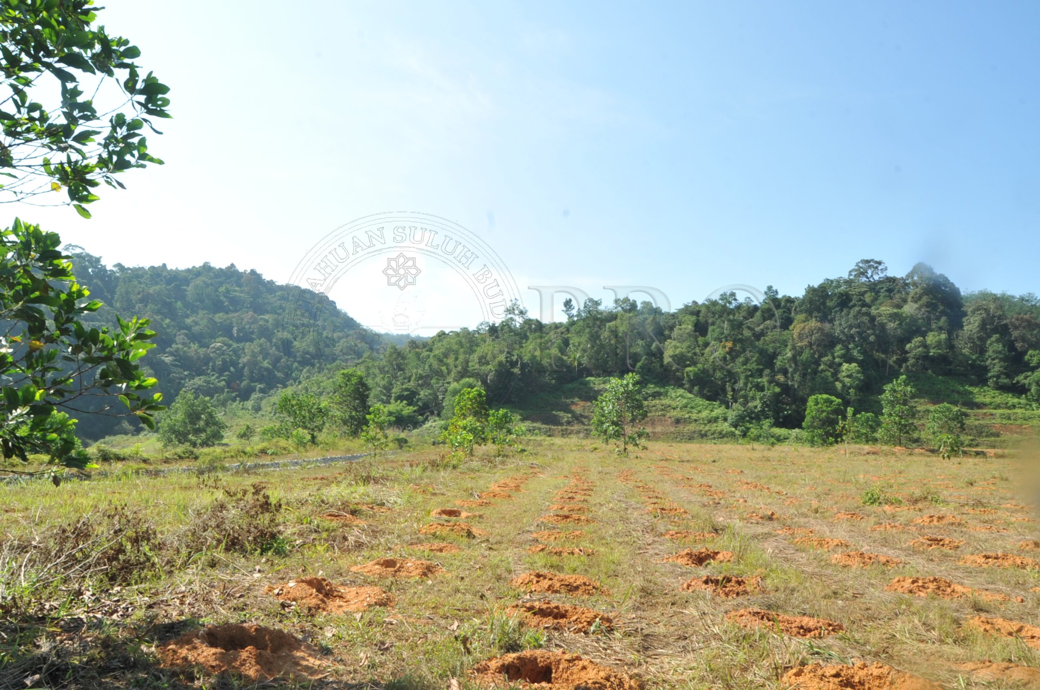 PRO 14 48 KARAS PRO 6786